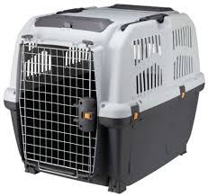 Transportbox
